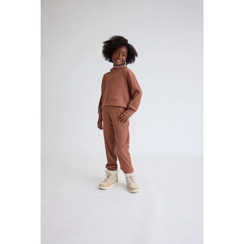 The Children's Place Girls Plush Ribbed Hooded Sweatshirt Pecan Pie XS New